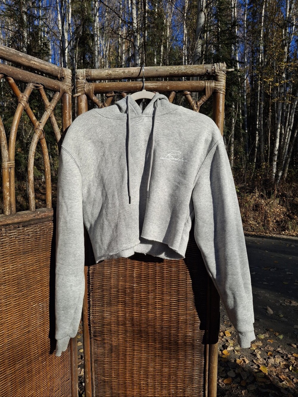 Cropped Gray Women's Hoodie - Script Logo